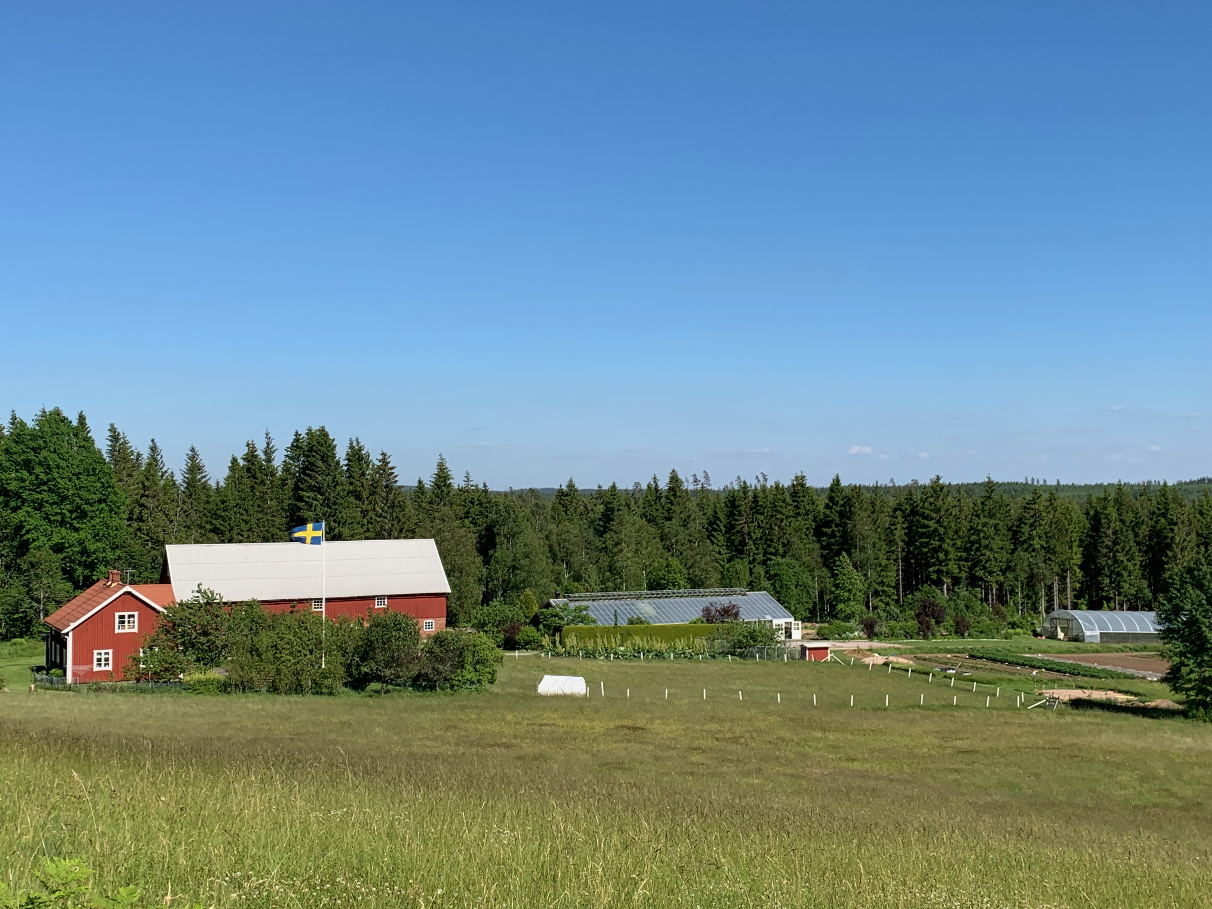 Björnhyltans Trädgård – ekologisk besöksträdgård i Ambjörnarp