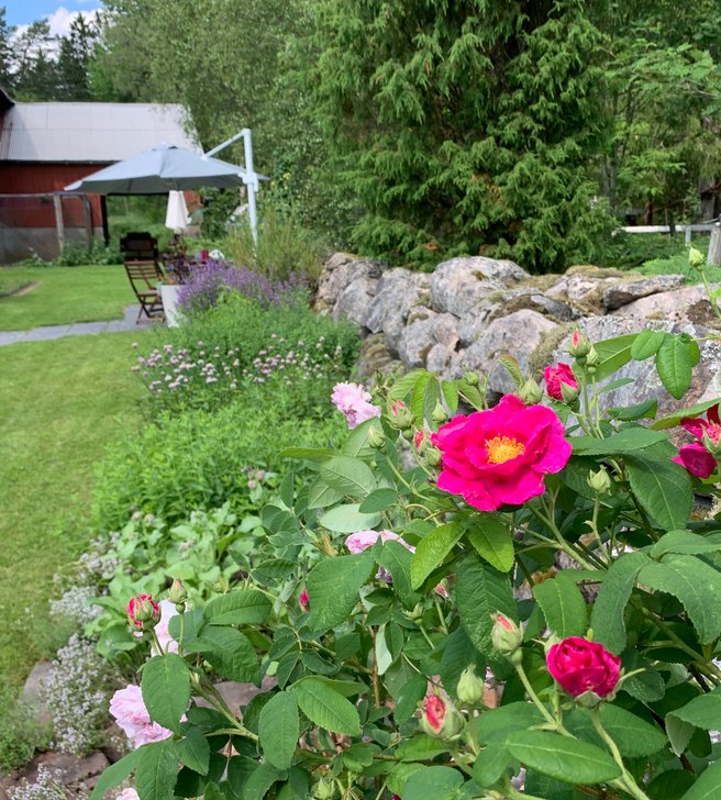 Örtagården
