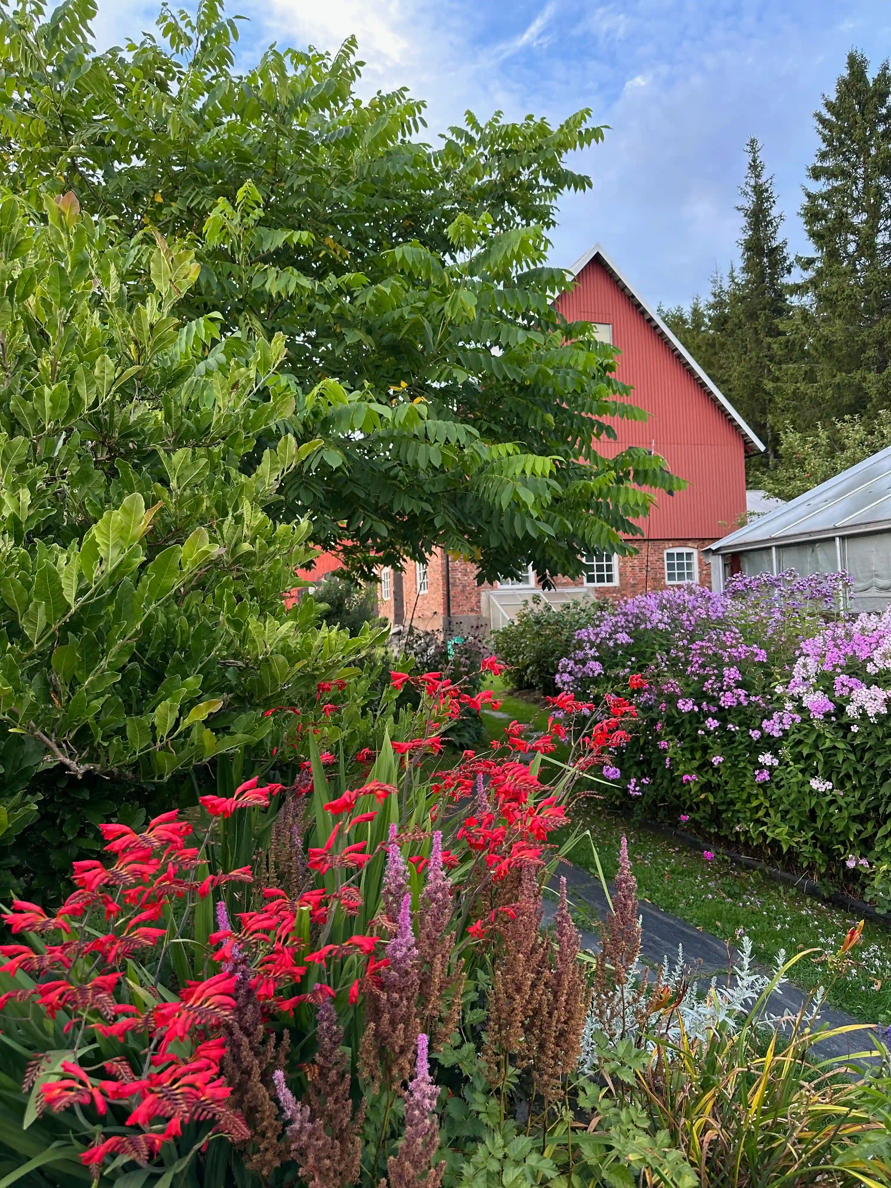 Blommorna