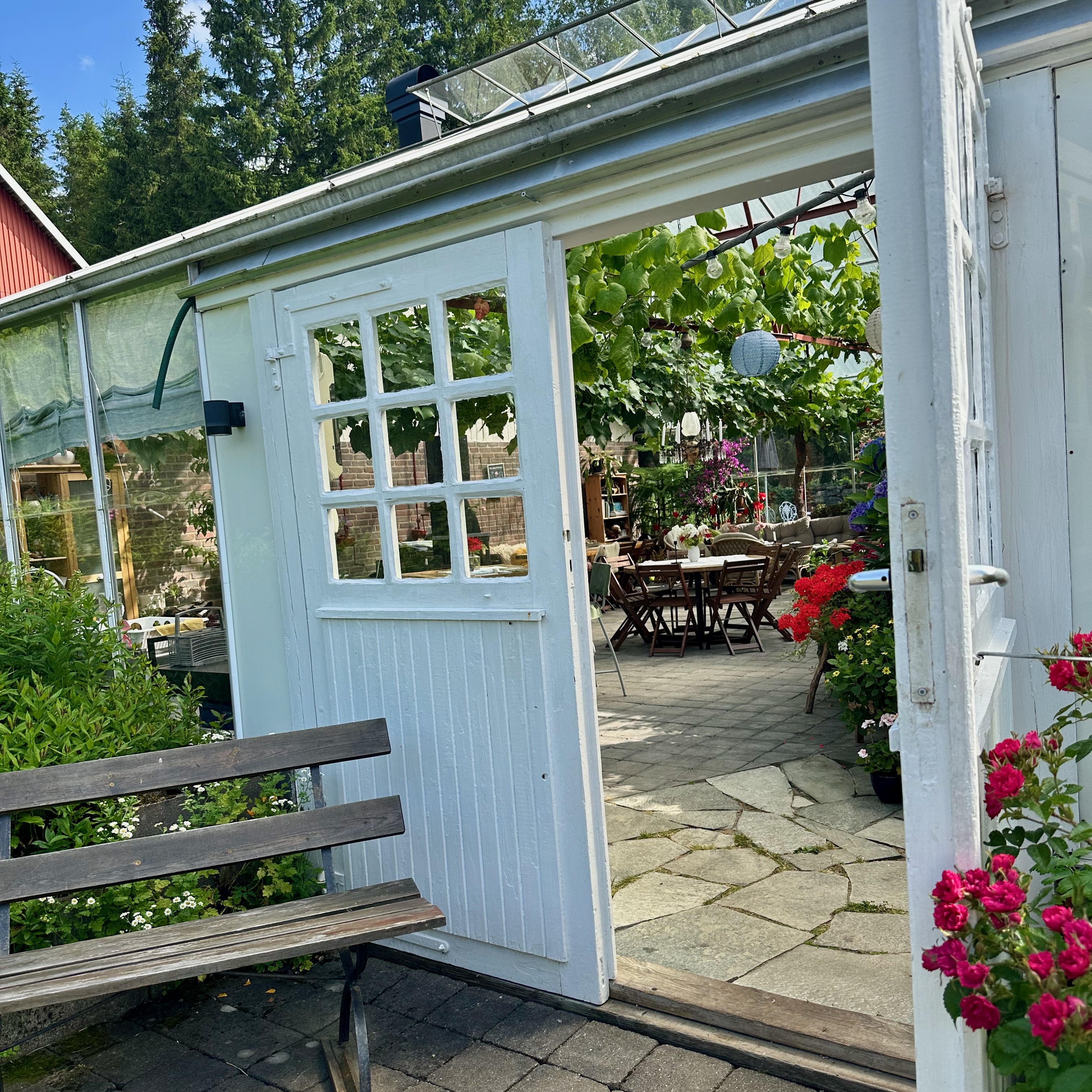 Växthuset på Björnhyltans Trädgård
